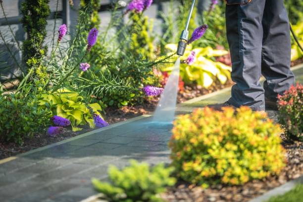 Best Gutter Cleaning  in Sharon, TN